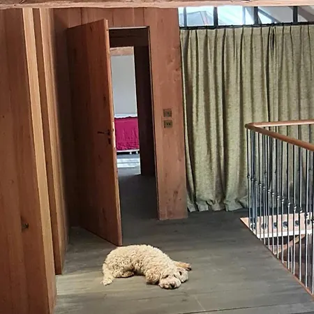 Wine Estate Loft Among Vineyards In Gers Hébergement de vacances *