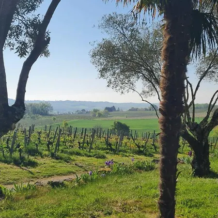 בית נופש Wine Estate Loft Among Vineyards In Gers *