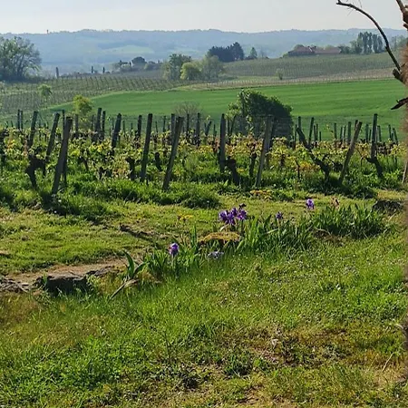 Wine Estate Loft Among Vineyards In Gers