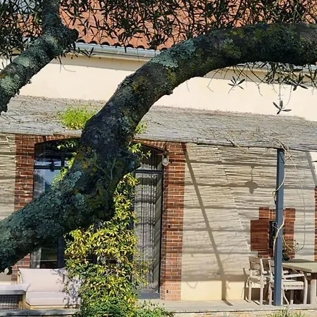 Wine Estate Loft Among Vineyards In Gers Maumusson-Laguian