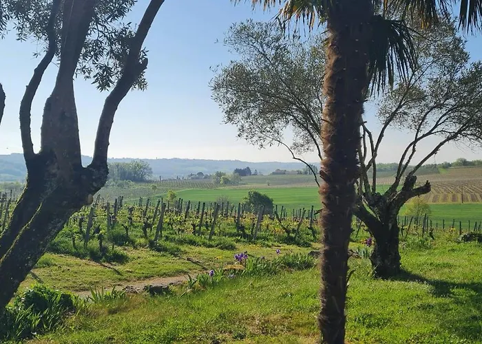 度假居 Wine Estate Loft Among Vineyards In Gers *