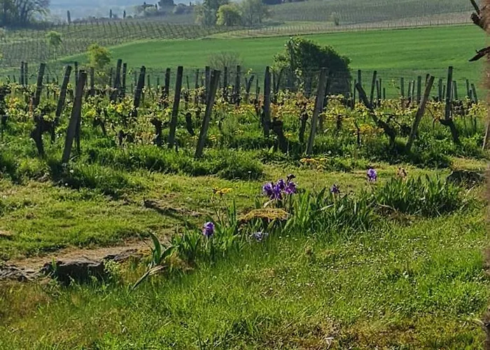 Wine Estate Loft Among Vineyards In Gers